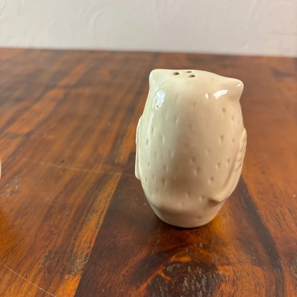 Pier One Imports Ceramic Owl Salt and Pepper Shakers Cream Brown Set of 2